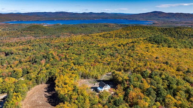 drone / aerial view with a water and mountain view