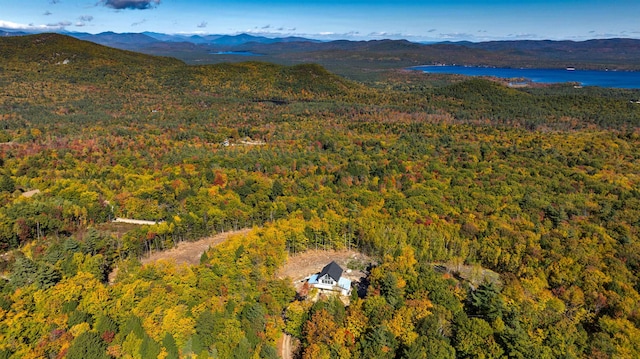 bird's eye view with a water and mountain view