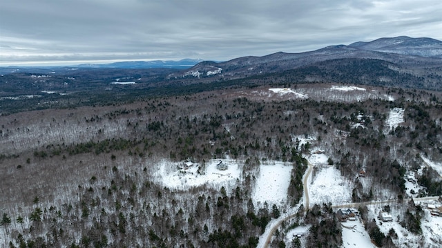 snowy aerial view featuring a mountain view