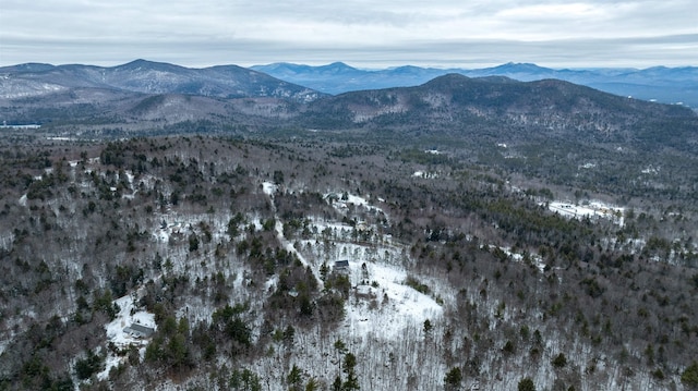 view of mountain feature