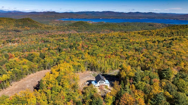 drone / aerial view featuring a water and mountain view