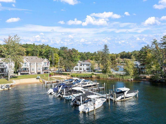 dock area with a water view