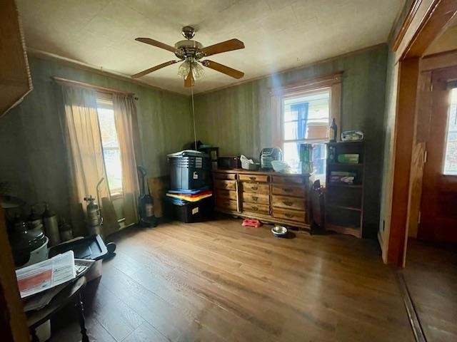 miscellaneous room with ceiling fan and hardwood / wood-style floors