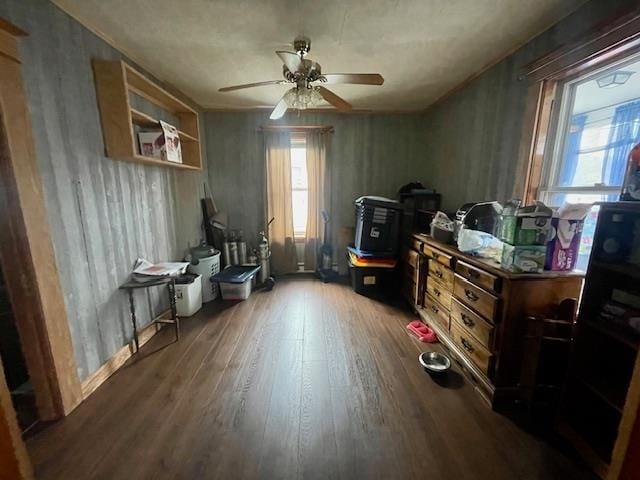 miscellaneous room featuring ceiling fan and dark hardwood / wood-style flooring