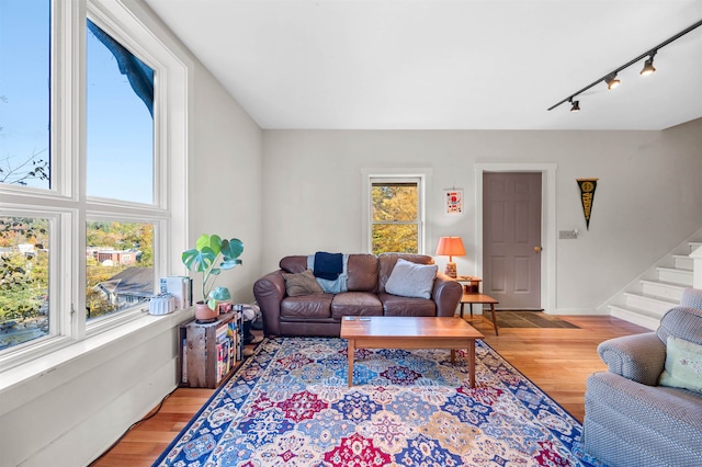 living room featuring rail lighting and light hardwood / wood-style floors