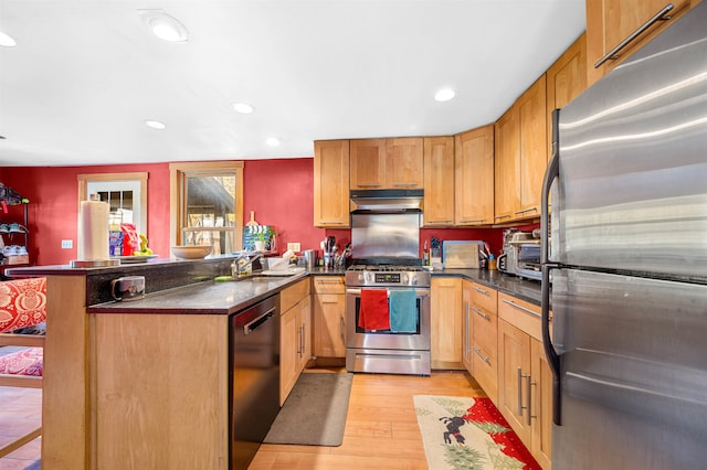 kitchen with sink, stainless steel appliances, a kitchen breakfast bar, light hardwood / wood-style flooring, and kitchen peninsula