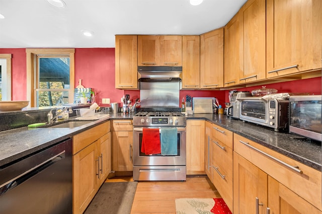 kitchen with stainless steel appliances, light hardwood / wood-style flooring, dark stone countertops, and sink