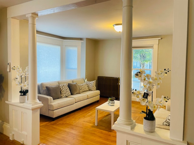 living room featuring light wood-type flooring and radiator