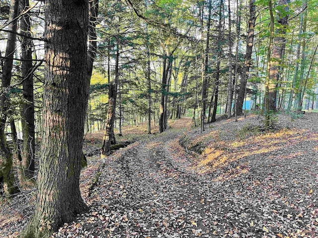 view of landscape