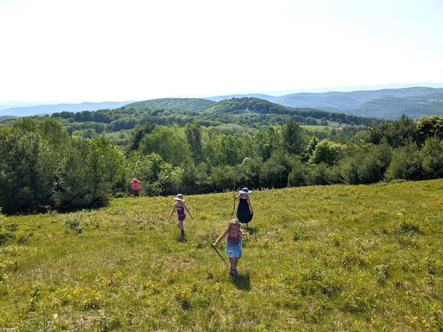 view of mountain feature