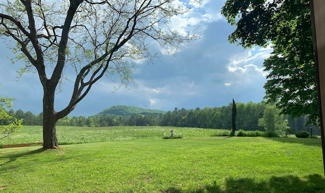 view of yard with a rural view