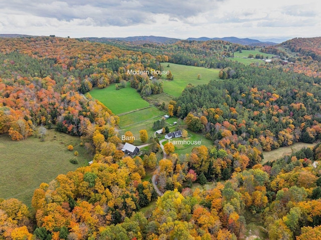 birds eye view of property featuring a mountain view