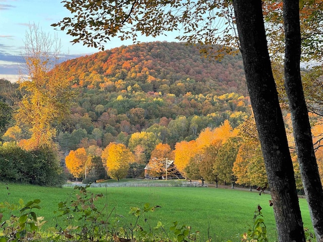 view of mountain feature