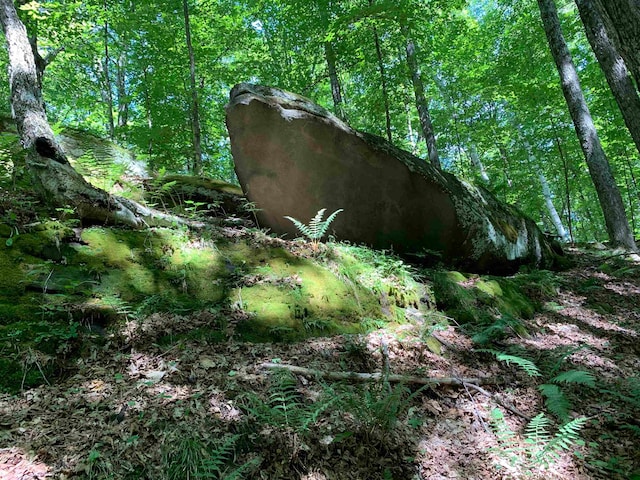 view of landscape