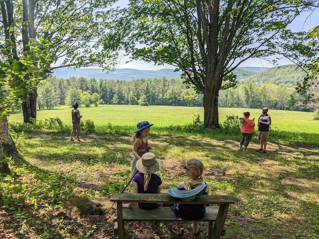 surrounding community with a rural view, a yard, and a mountain view