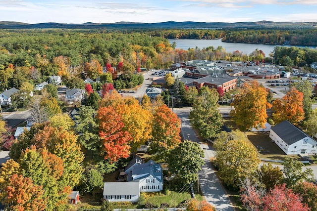 birds eye view of property featuring a water and mountain view