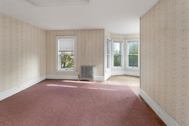 spare room with a wealth of natural light, carpet, and radiator