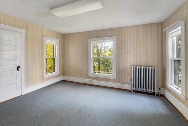 carpeted empty room with radiator heating unit and a wealth of natural light