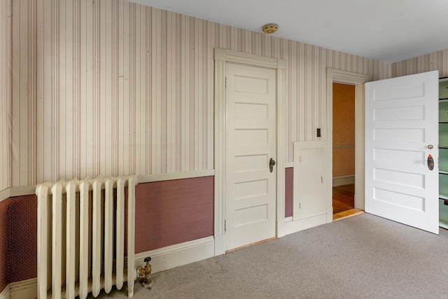 closet featuring radiator