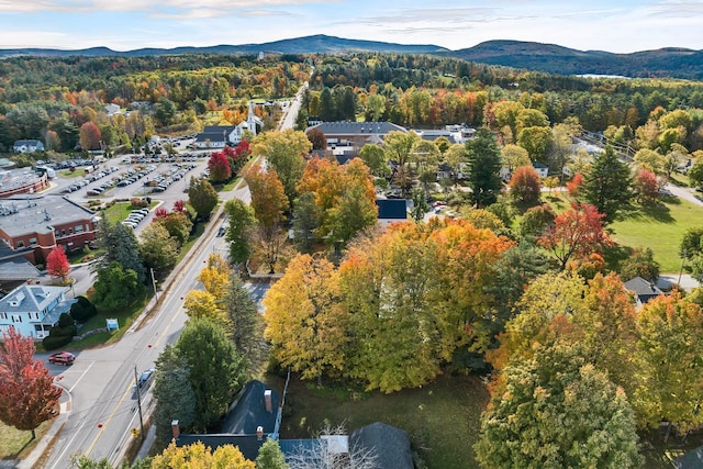 birds eye view of property with a mountain view