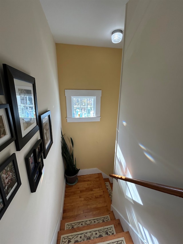 staircase featuring hardwood / wood-style flooring