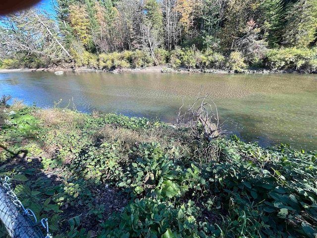 view of water feature