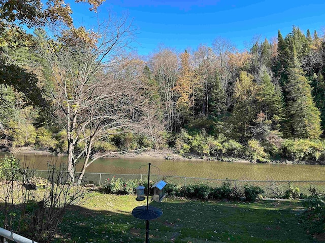 view of yard with a water view