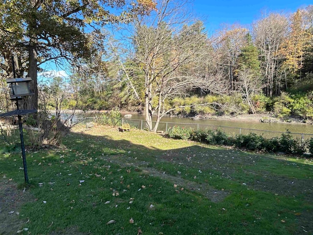 view of yard with a water view