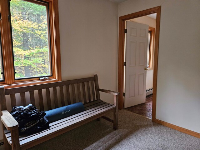 bedroom with a baseboard radiator, multiple windows, and dark hardwood / wood-style flooring