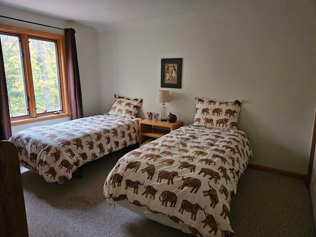 bedroom with carpet