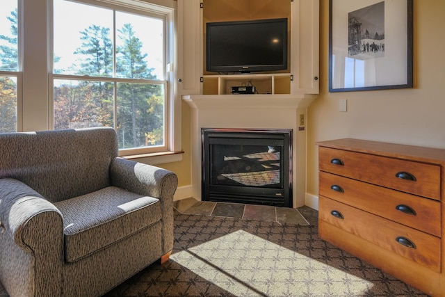 living room featuring a wealth of natural light