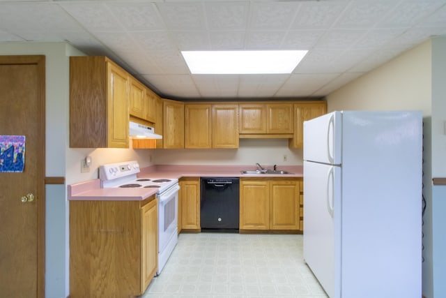 kitchen with sink, a drop ceiling, and white appliances