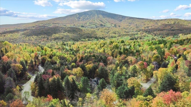 view of mountain feature