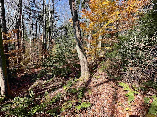 00 Lawrence Davis Dr, Wilmington VT, 05356 land for sale