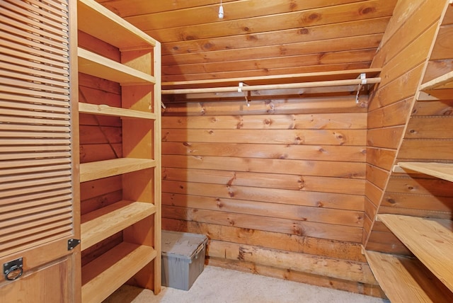 walk in closet featuring carpet floors