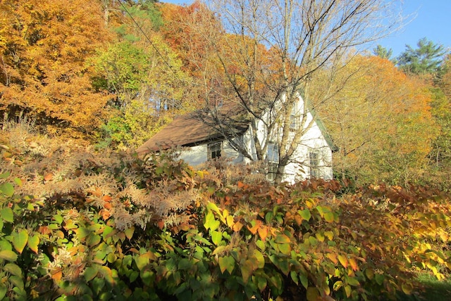 view of local wilderness