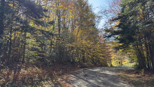 15 Running Sap Ln, Dover VT, 05356 land for sale