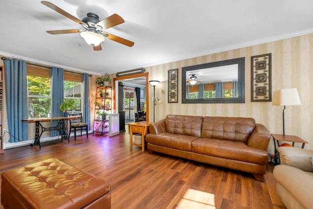 living room with ceiling fan, wood-type flooring, and ornamental molding