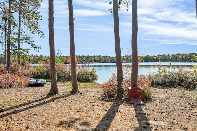 view of yard with a water view