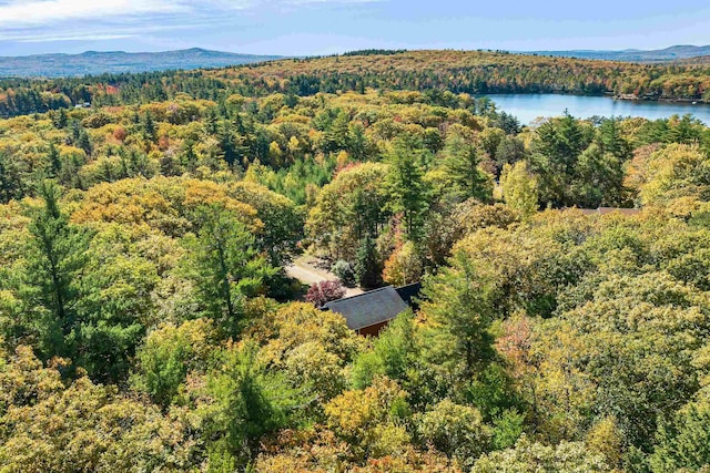 drone / aerial view featuring a water and mountain view