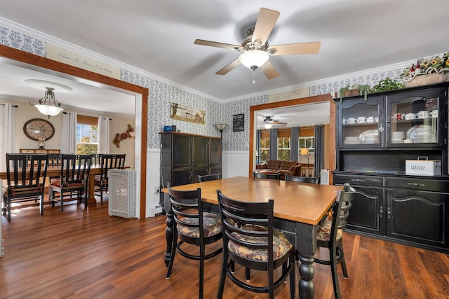 dining area with dark hardwood / wood-style flooring, ceiling fan, and ornamental molding