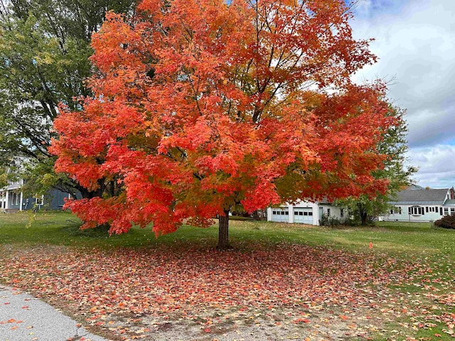 101 Fairview Ave, West Rutland VT, 05777 land for sale