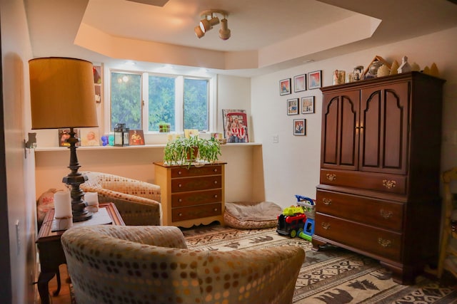 living area with a tray ceiling