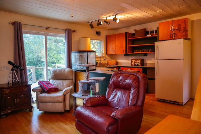 living room with light hardwood / wood-style flooring, track lighting, wooden ceiling, and sink