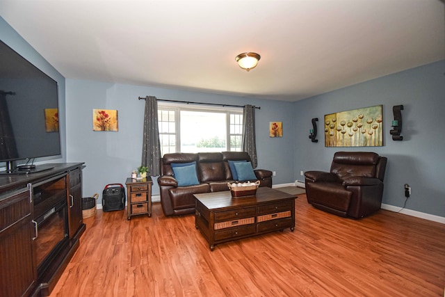 living room featuring light wood-type flooring