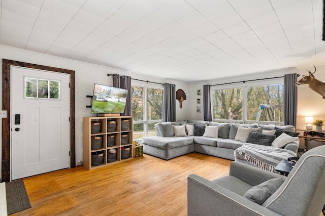 living room featuring ornamental molding and light hardwood / wood-style flooring