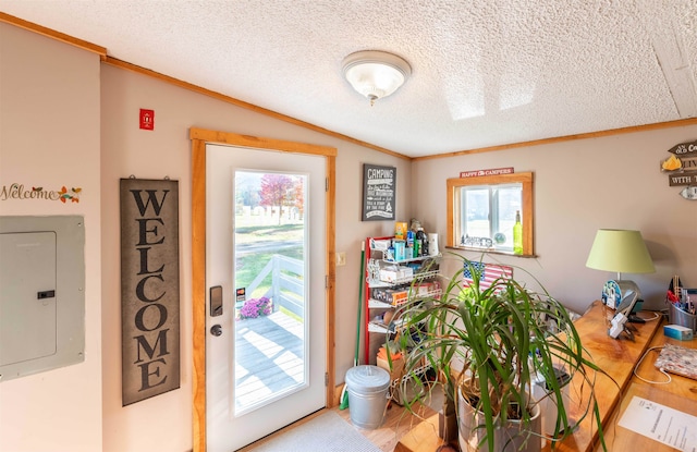 interior space featuring hardwood / wood-style floors, ornamental molding, electric panel, and a textured ceiling