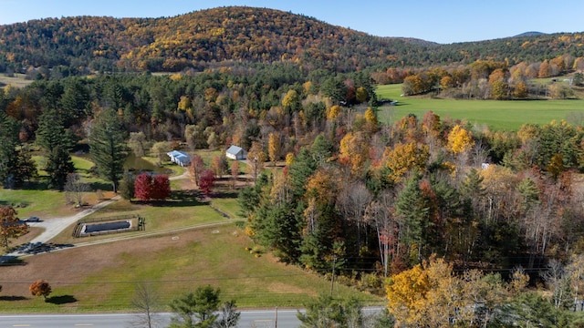 bird's eye view featuring a mountain view