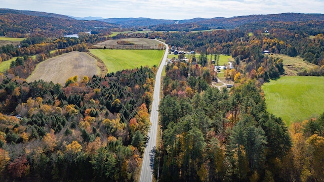 aerial view with a mountain view