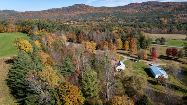 drone / aerial view featuring a mountain view